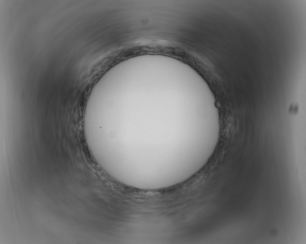 X0000112970966200908270939