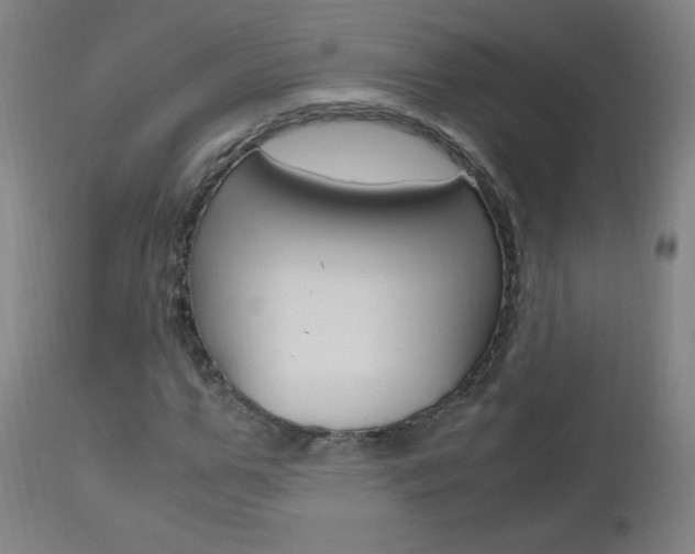 X0000112970967200908270939