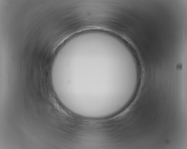 X0000112970969200908270939