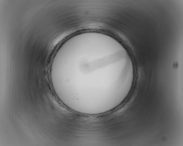 X0000112970970200908270939