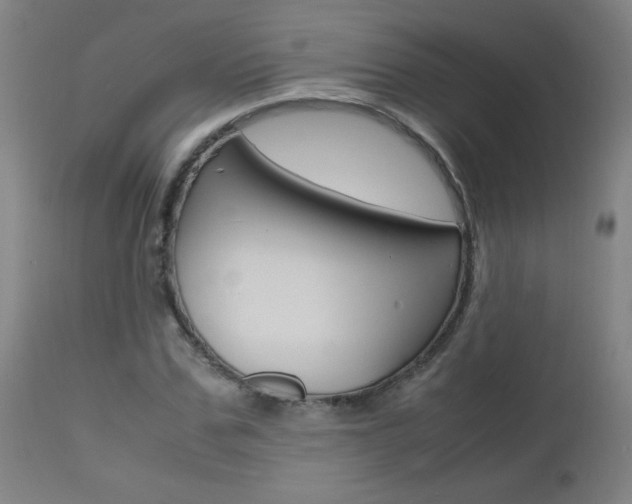 X0000112970971200908270939