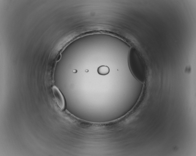 X0000112970977200908270939