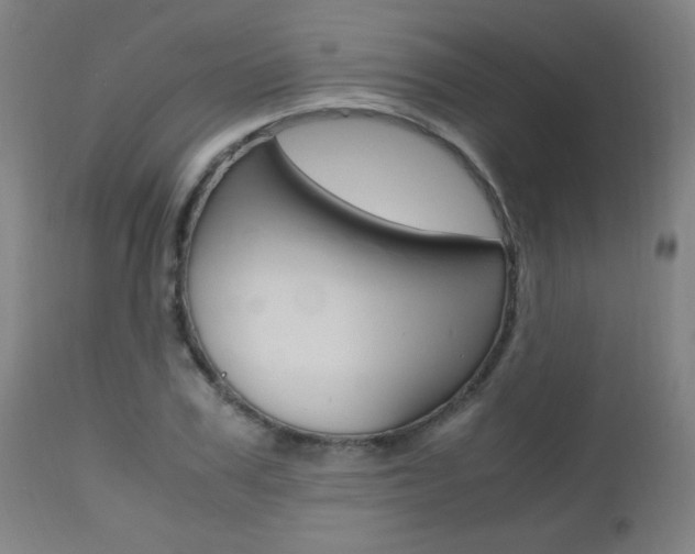 X0000112970979200908270939