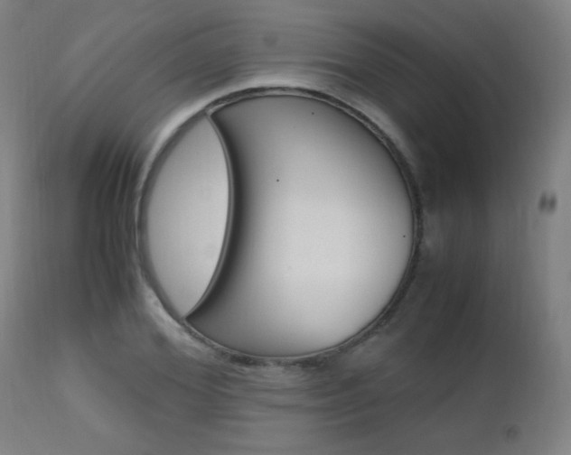 X0000112970980200908270939