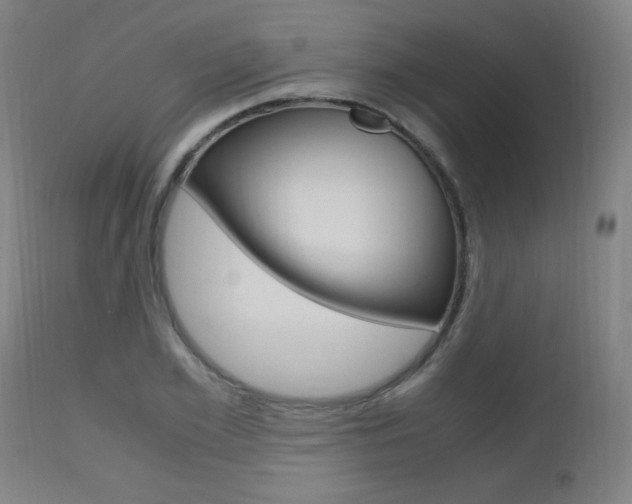 X0000112970981200908270939