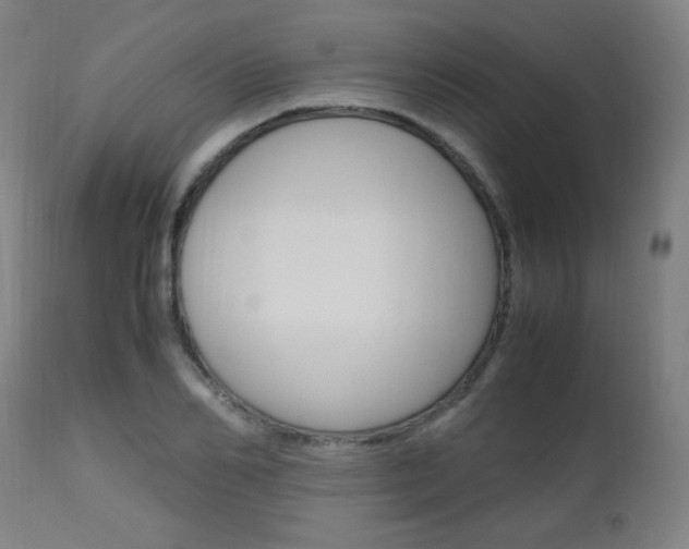 X0000112970982200908270939