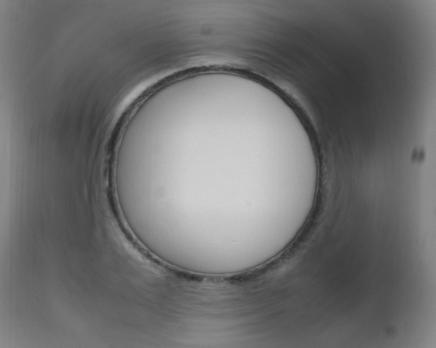 X0000112970983200908270939