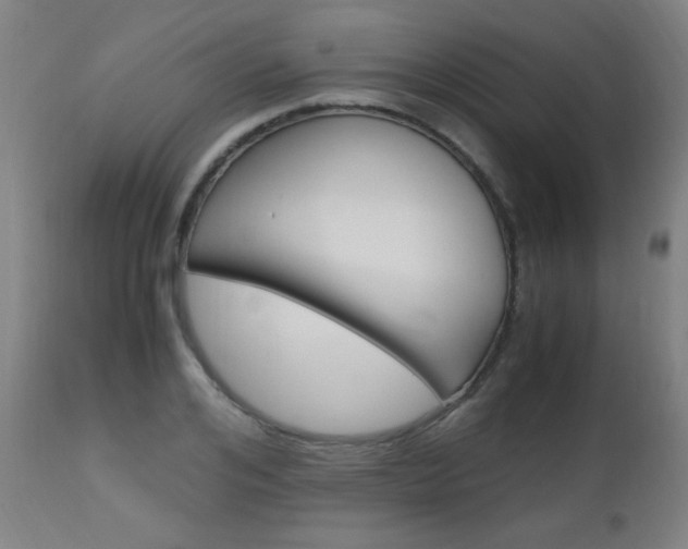 X0000112970984200908270939
