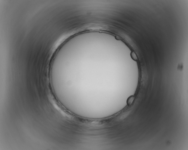 X0000112970986200908270939