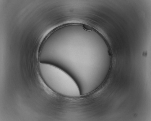 X0000112970988200908270939