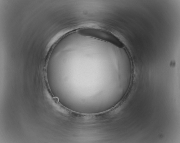 X0000112970989200908270939