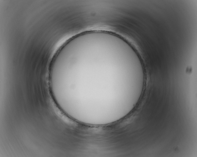 X0000112970990200908270939
