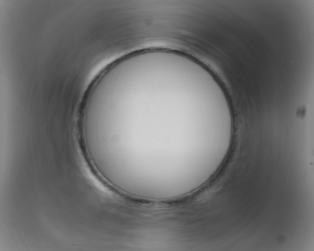 X0000112970991200908270939
