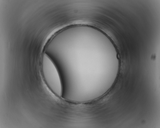 X0000112970992200908270939