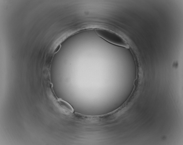 X0000112970993200908270939