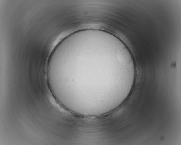X0000112970994200908270939