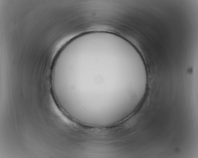 X0000112970995200908270939