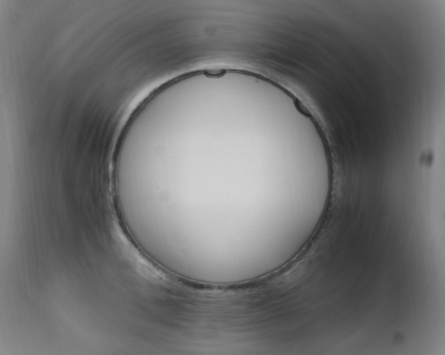 X0000112970996200908270939