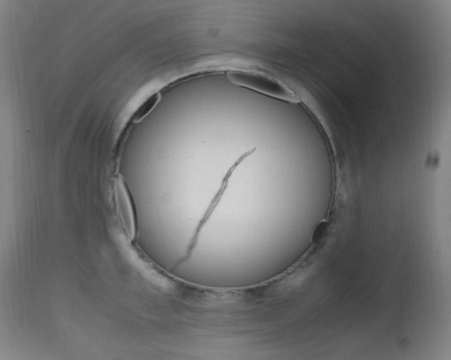 X0000112970997200908270939