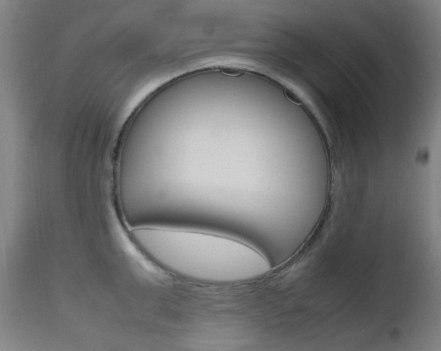 X0000112970999200908270939