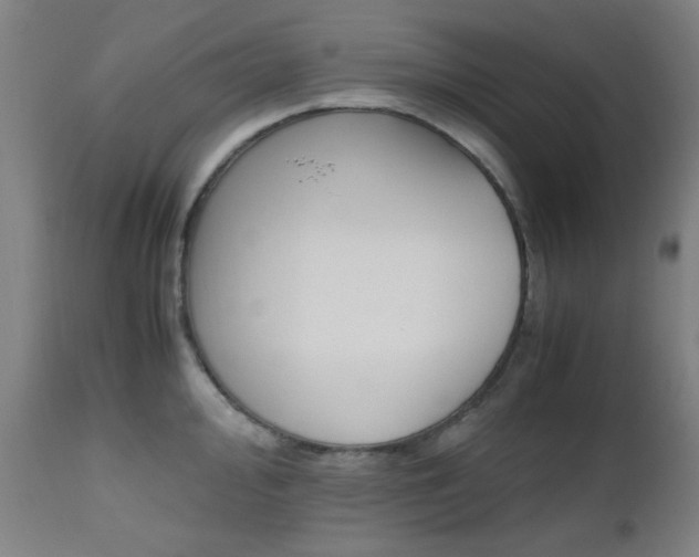 X0000112971000200908270939