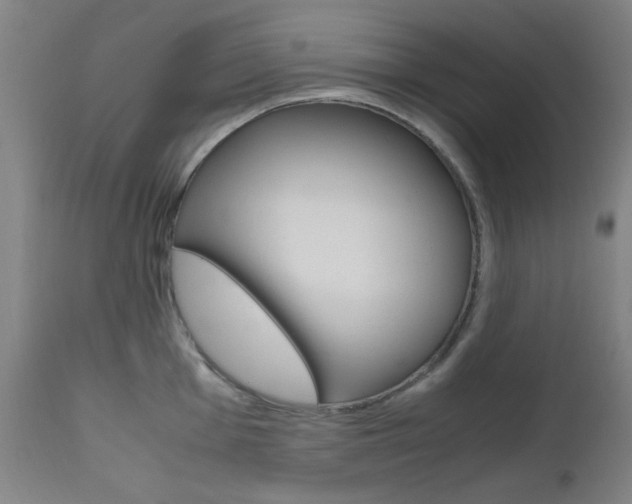X0000112971001200908270939