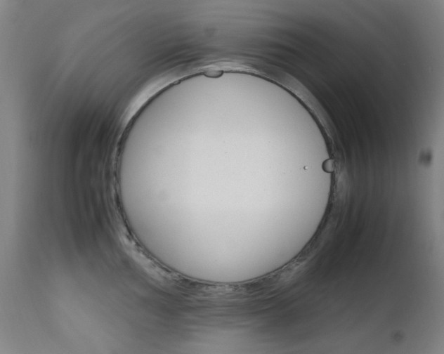 X0000112971002200908270939