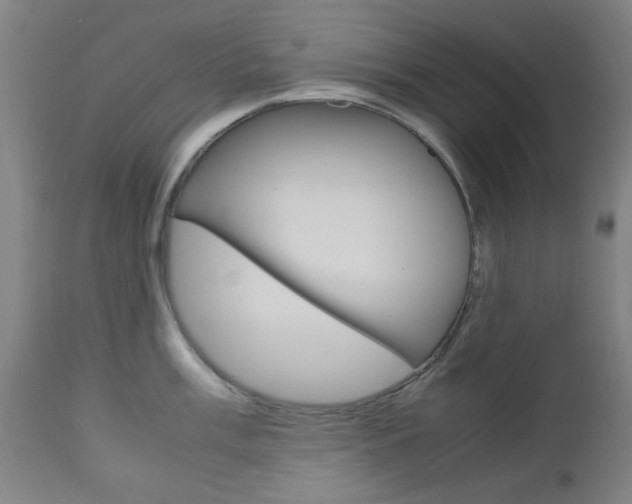 X0000112971003200908270939