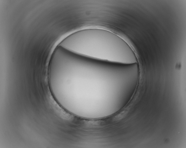 X0000112971004200908270939