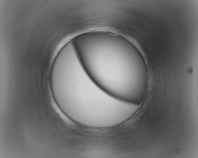 X0000112971005200908270939