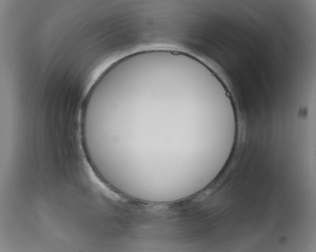 X0000112971006200908270939
