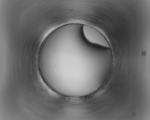 X0000112971007200908270939