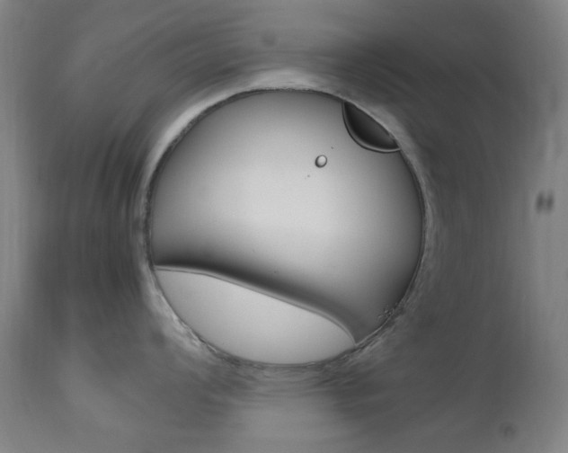 X0000112971008200908270939