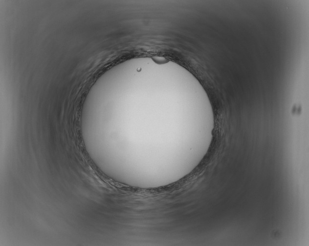 X0000112971009200908270938