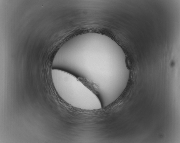 X0000112971010200908270938