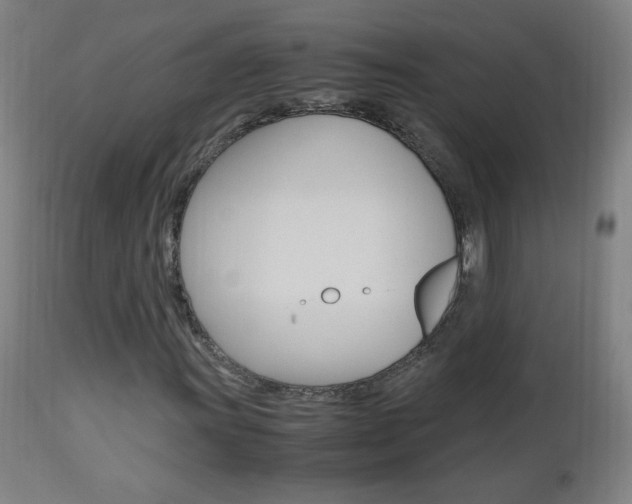 X0000112971011200908270938