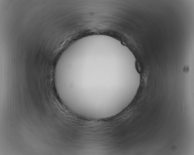 X0000112971012200908270938