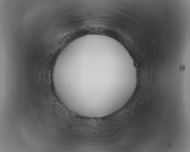 X0000112971013200908270938