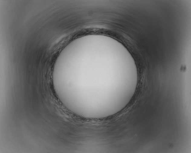 X0000112971014200908270938