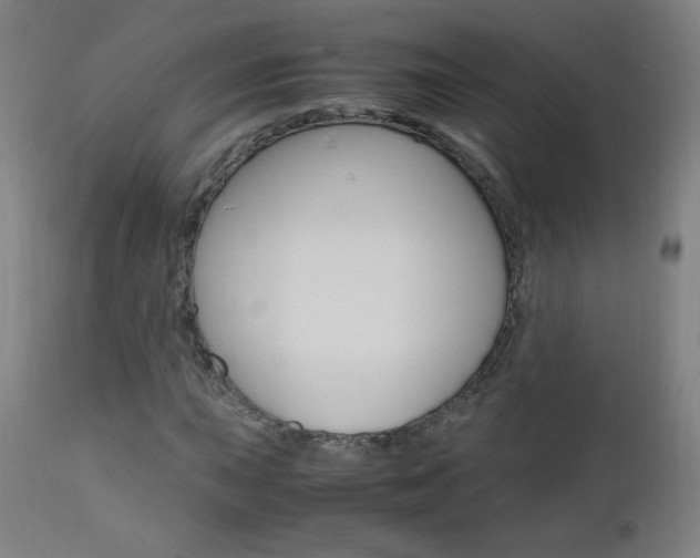 X0000112971015200908270938