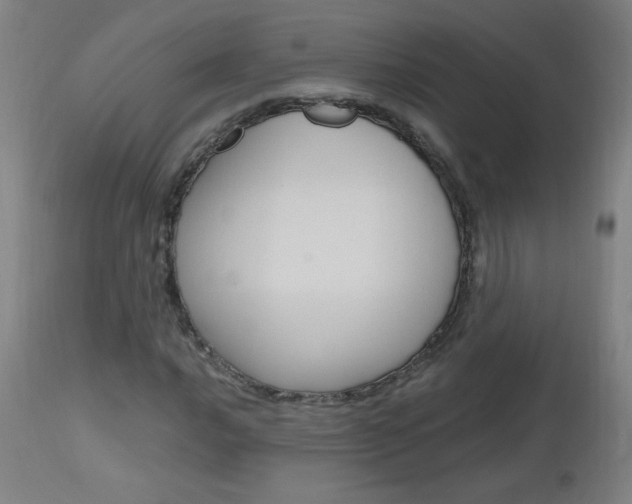 X0000112971016200908270938