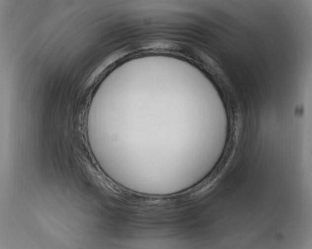 X0000112971017200908270938