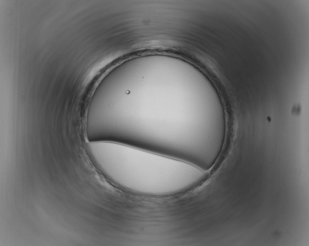 X0000112971018200908270938