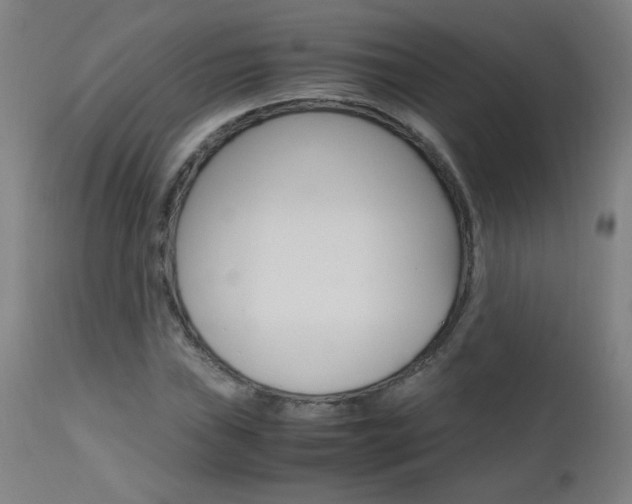X0000112971019200908270938