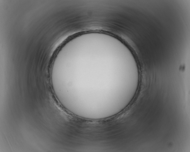 X0000112971023200908270938