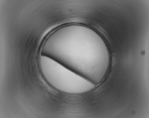 X0000112971024200908270938