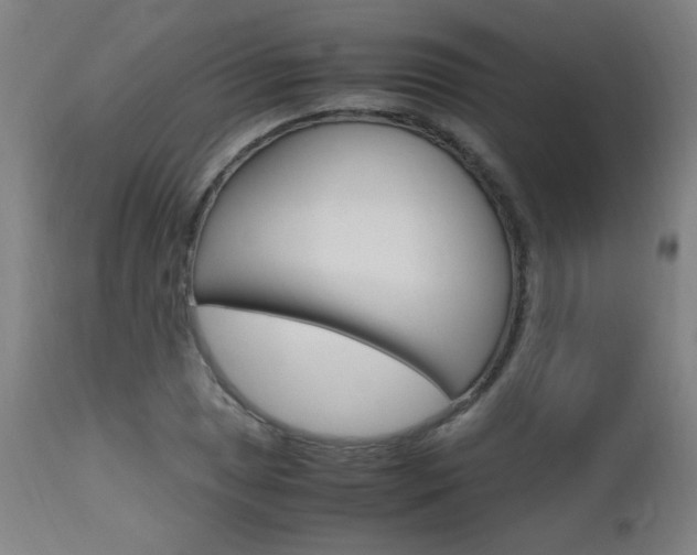 X0000112971025200908270938