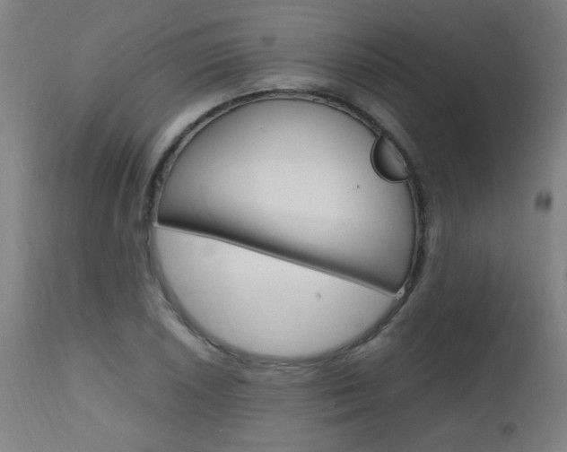X0000112971026200908270938