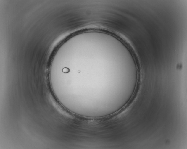 X0000112971029200908270938