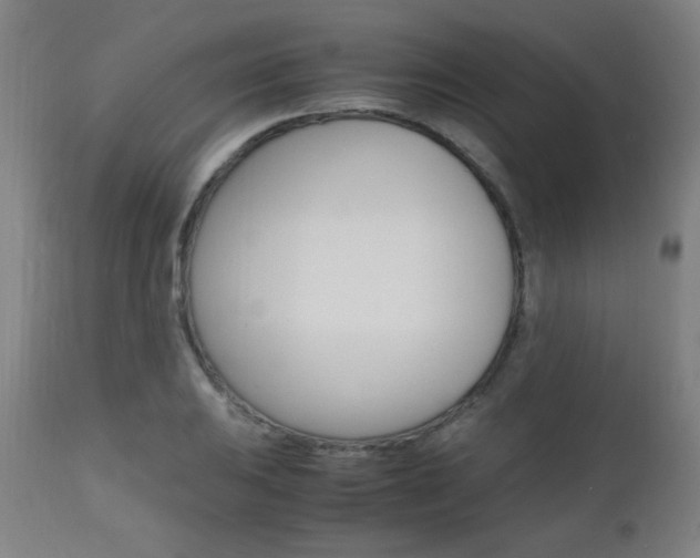 X0000112971031200908270938
